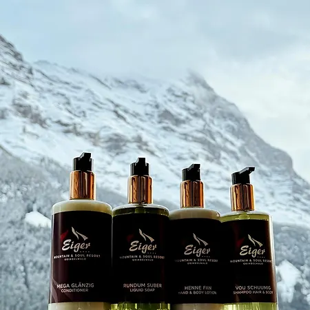 Eiger Mountain & Soul 4* Гріндельвальд