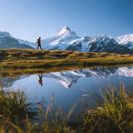 Eiger Mountain & Soul 4* Γκρίντελβαλντ